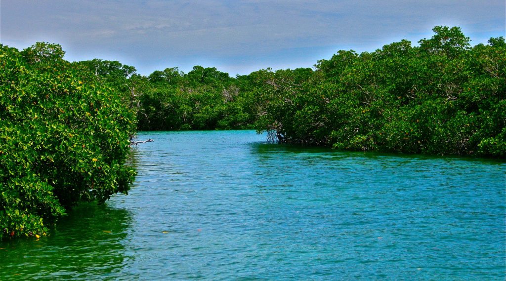 Mudd Key - Key West, FL