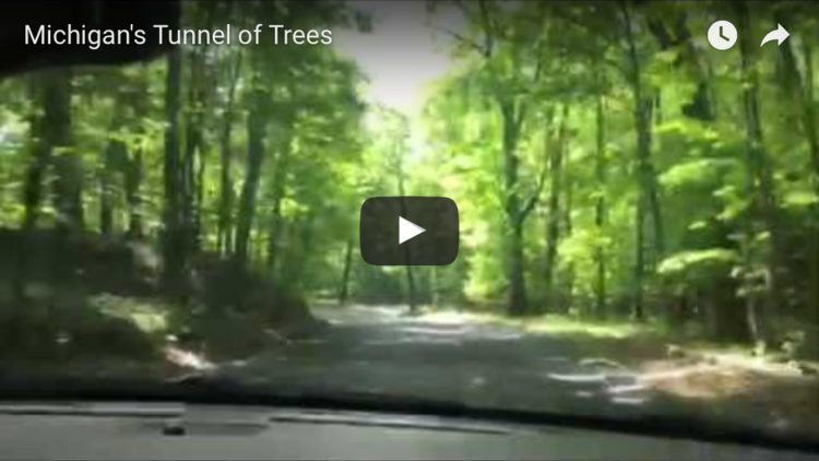 Michigan's Tunnel of Trees