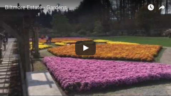 biltmore-estate-gardens